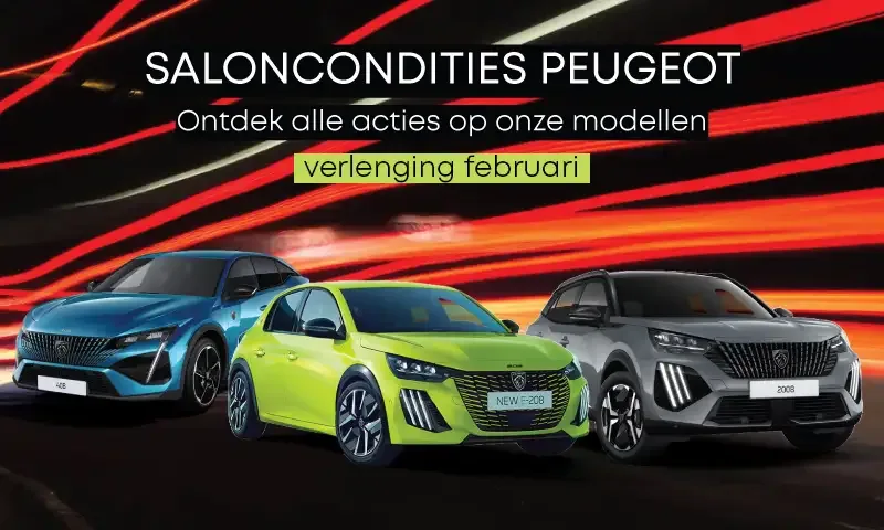 Saloncondities Peugeot 02