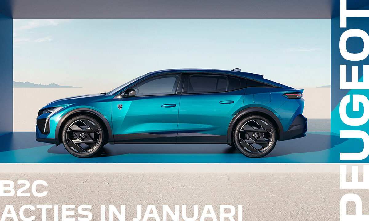 Peugeot | Januari | B2C